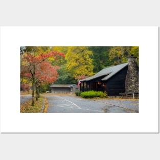 Fall in Vogel State Park Posters and Art